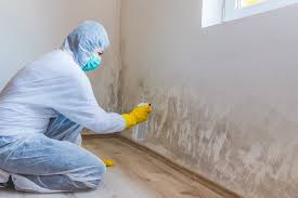 Best Biohazard Mold Removal  in Angleton, TX